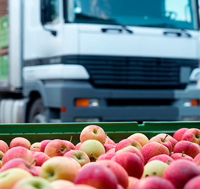 Transporte de alimentos