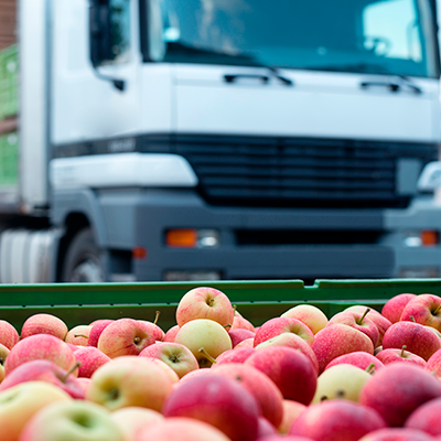 Transporte de alimentos